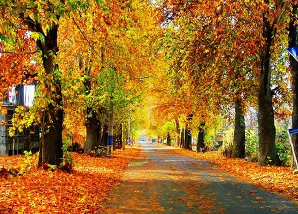 عکس جاده آتشگاه کرج