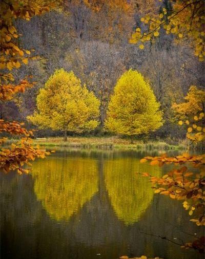 عکس طبیعت زیبا و زشت