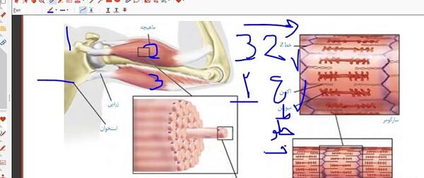 عکس پروفایل واتساپ خالی