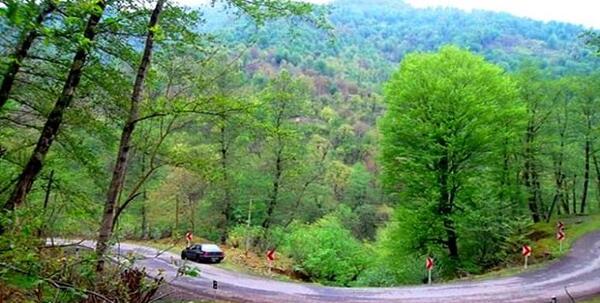عکس جاده های زیبای شمال