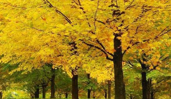 عکسهای طبیعت زیبای جهان