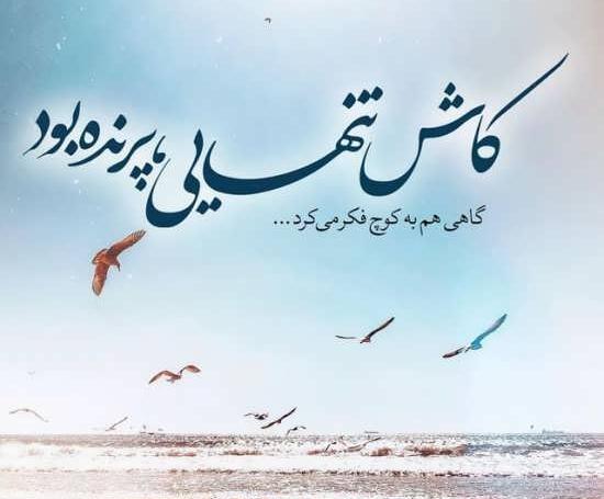 عکس تنهایی بهتره از گدایی محبت