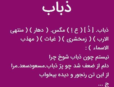 عکس حیوان ذباب