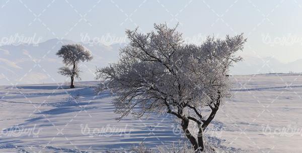 عکس ایرانی طبیعت