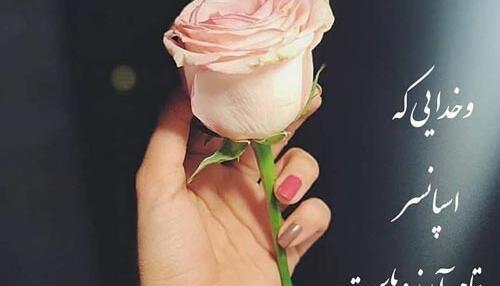 عکس پروفایل امید و آرزو بدون متن
