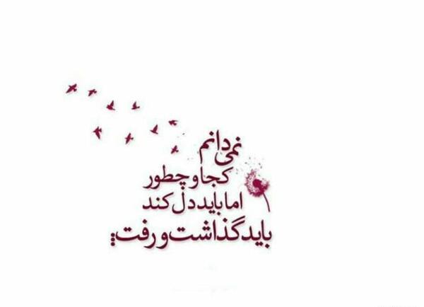عکس بدون متن سفید