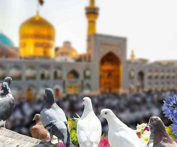 عکس ضامن اهو برای پروفایل