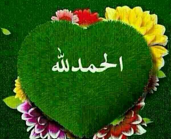 عکس خدای مهربان شکرت
