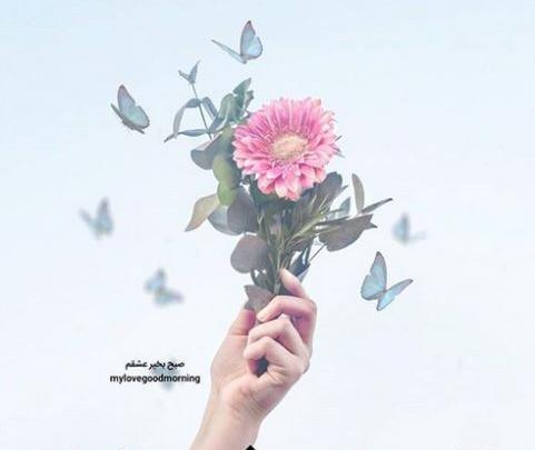 عکس عاشقانه بدون متن ترکی