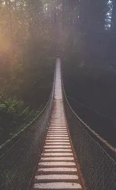 عکس بدون متن ویسگون