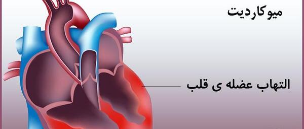 عکس تصاویر ضربان قلب سالم