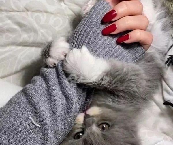 عکس پروفایل خفن جدید دخترونه