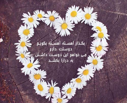 عکس عشق گل