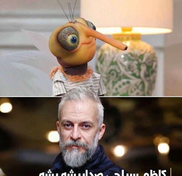 عکس بچه و پشه