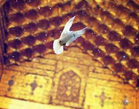 عکس حرم امام حسین و امام رضا