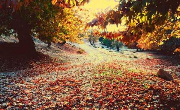 عکس جاده یاسوج