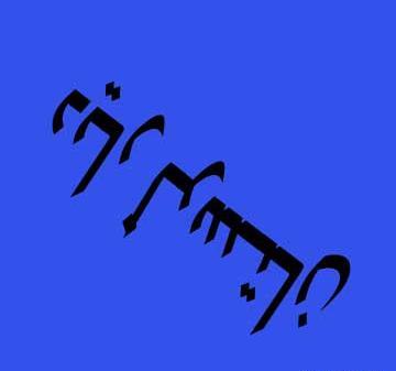 عکس عقاب لرستان