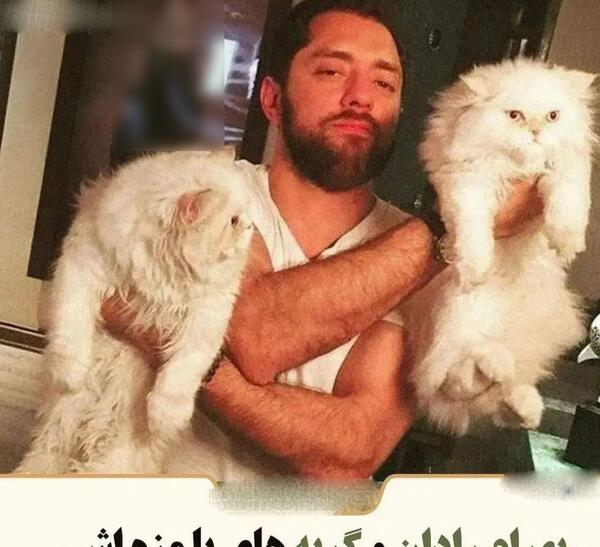 عکس از حیوانات ایران