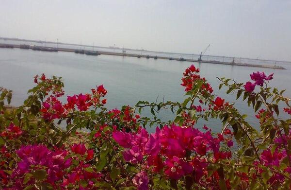 عکس دریا صورتی چابهار