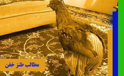 عکس خنده دار عمه