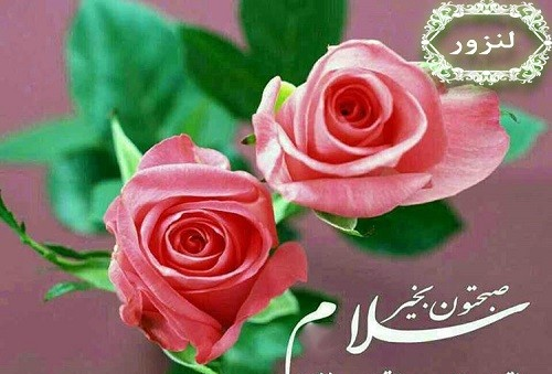 عکس زیبا صبح بخیر دوستان