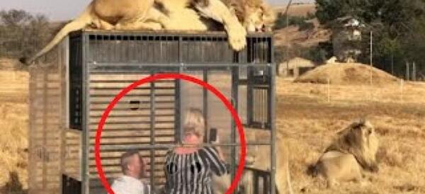 عکس حیوانات ترسناک و عجیب
