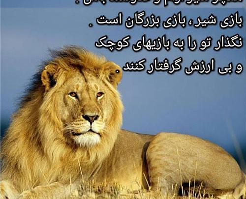 خفن ترین عکس شیر برای پروفایل