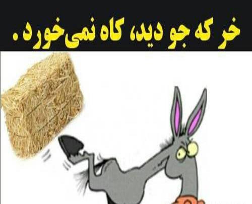 عکس پروفایل ضرب