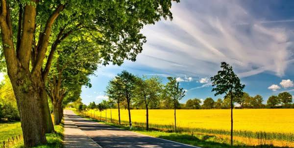 عکس طبیعت منظره زیبا