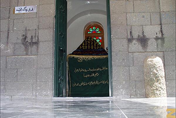 عکس شیر فضه در کربلا