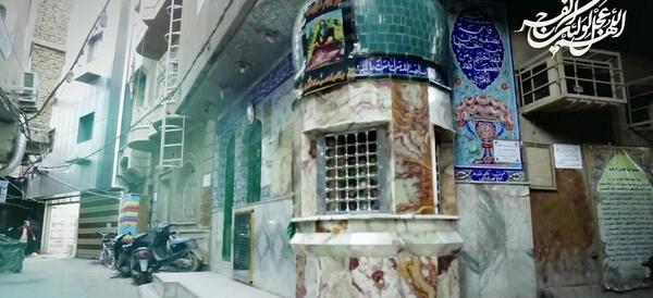 عکس شیر فضه در کربلا