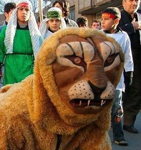 عکس شیر فضه در کربلا