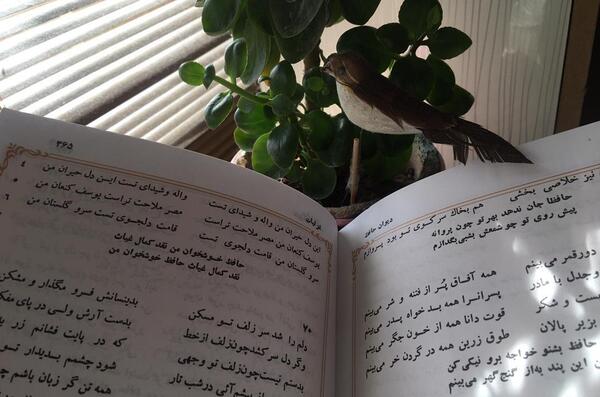 عکس روی تو چو در آینه جام افتاد تفسیر فال
