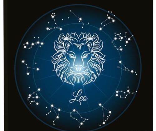 عکس ببر تنها