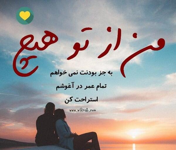 عکس ببر تنها