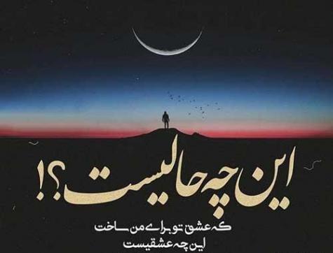 عکس ببر تنها