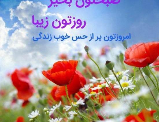 عکس ظهر بخیر سه شنبه