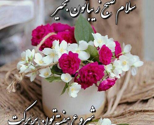 عکس ظهر بخیر سه شنبه