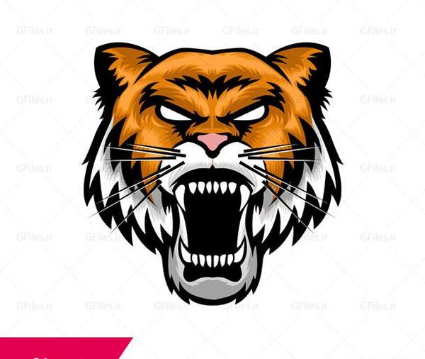 عکس ببر خشمگین