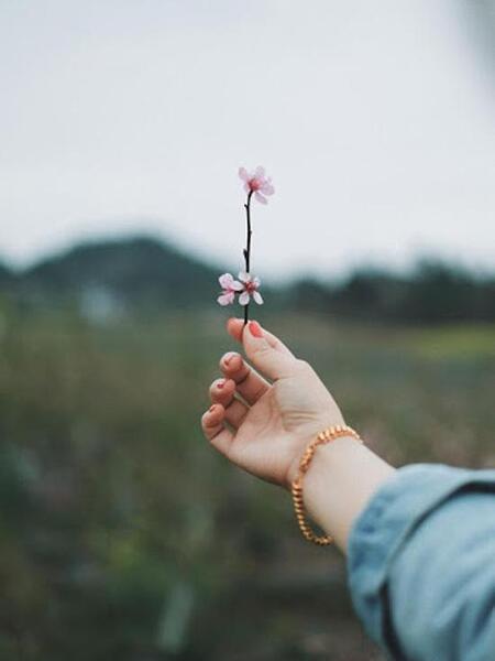 عکس پروفایل شیک حجاب