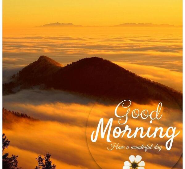 عکس طبیعت زیبا صبح بخیر