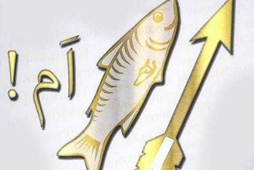 عکس تولد تیر ماهی