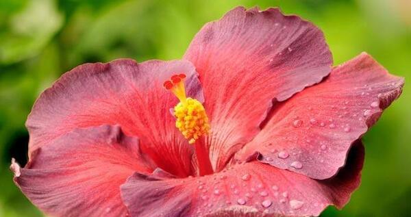 قاب عکس زیبا برای پروفایل