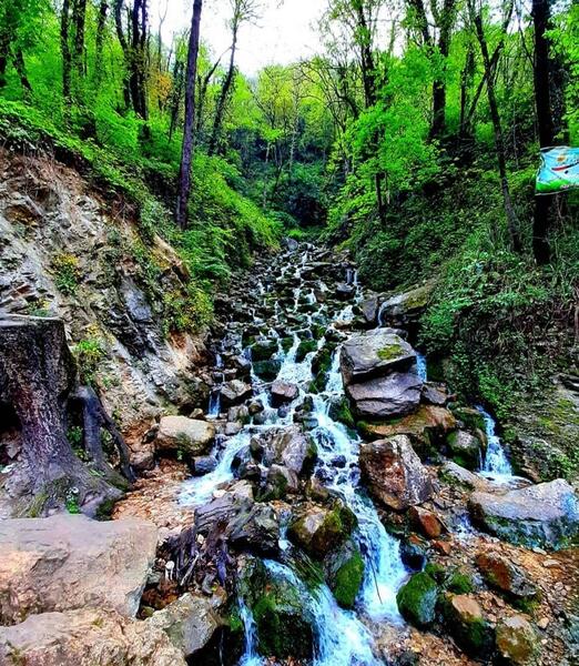 عکس جاده آب پری