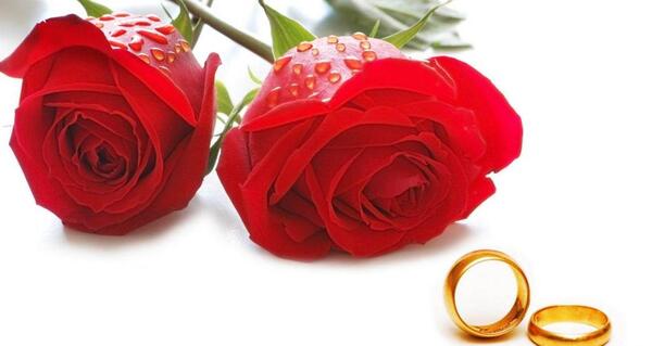 عکس پروفایل خفن گل رز