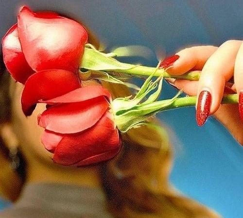 عکس پروفایل خفن گل رز