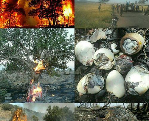 عکس پاسارگاد