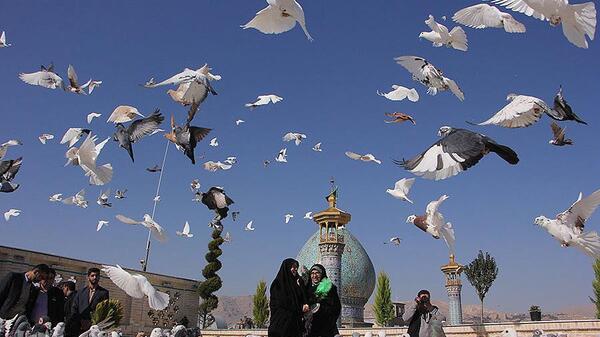 عکس کبوترخانه شاهچراغ