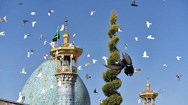 عکس کبوترخانه شاهچراغ
