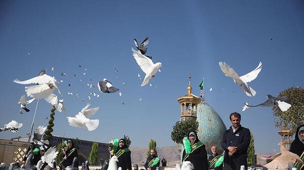 عکس کبوترخانه شاهچراغ